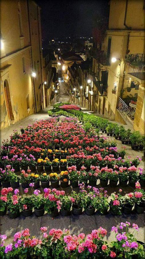 B&B Con Cucina La Ninfea Caltagirone Dış mekan fotoğraf